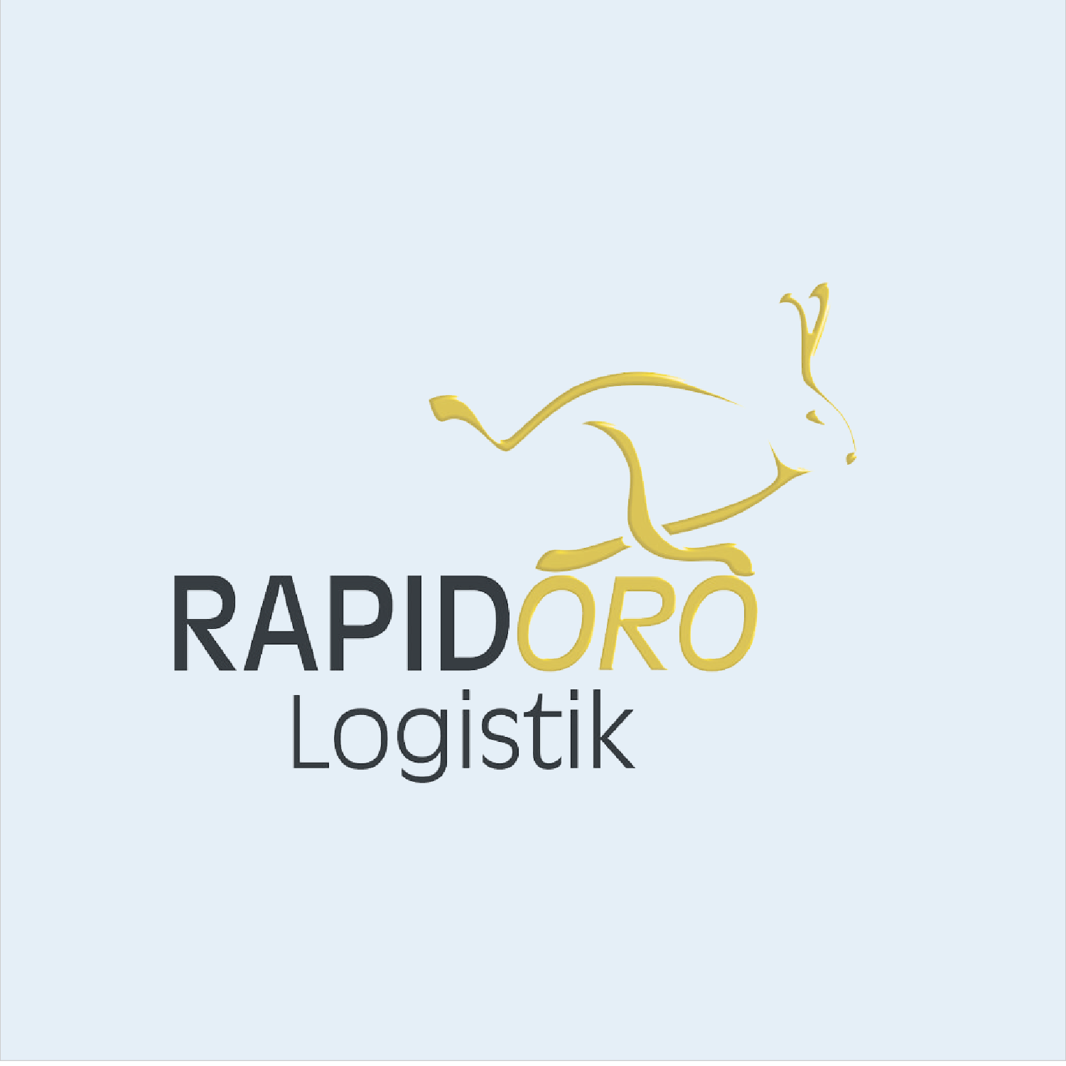 Logo Rapidoro Logistik